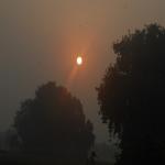 Vraj-Yatra-2014- (1556)